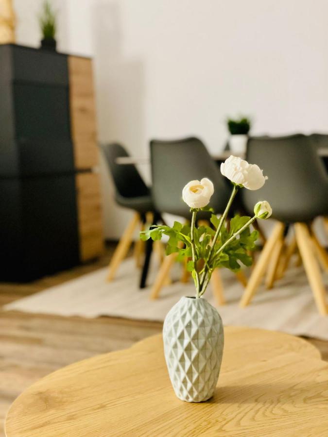 Schönheide Ferienwohnung Auersbergblick מראה חיצוני תמונה