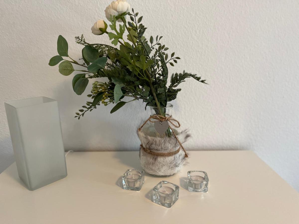 Schönheide Ferienwohnung Auersbergblick מראה חיצוני תמונה